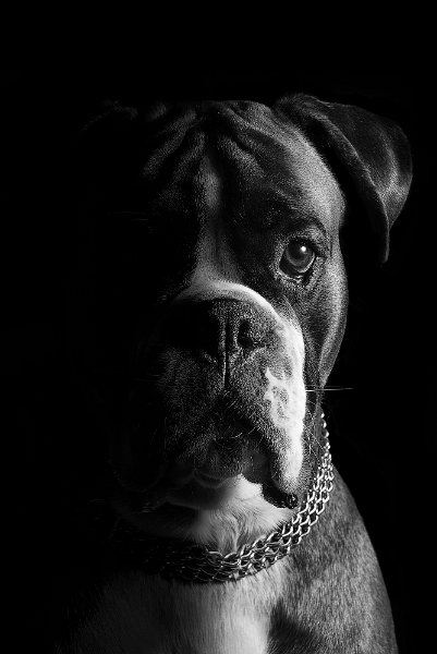 Mihai Dan Chiriacescu - Jumătate de suflet.jpg